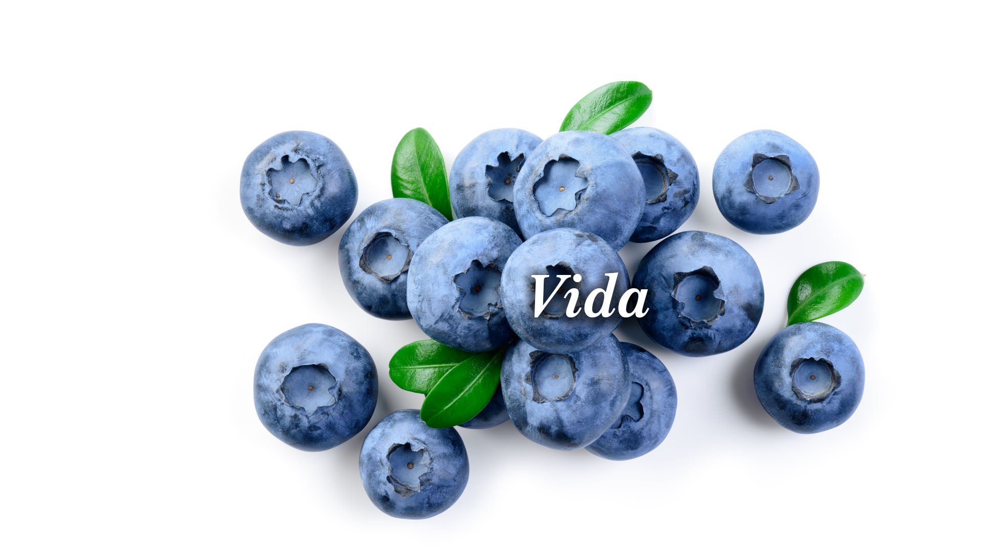 Mirtilos com folhas verdes e a palavra 'vida' escrita neles