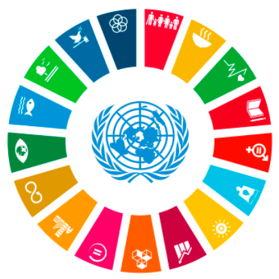 Metas da Agenda Mundial da ONU
